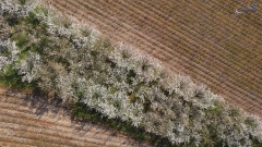 123-EV-1280x720-ACTYVES-DRONE