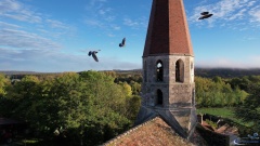 288-EV-1280x720-ACTYVES-DRONE