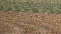 335-EV-1280x720-ACTYVES-DRONE