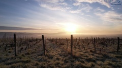 CAPVID-2024-01-28-097-1920x1080-ACTYVES-DRONE