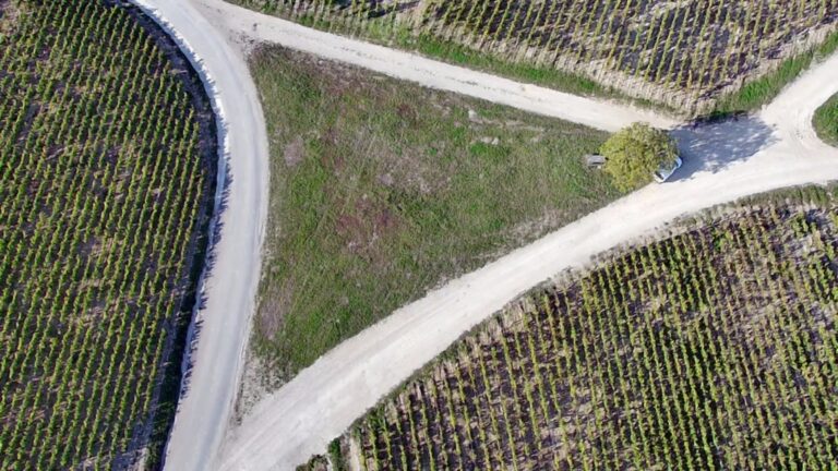 IMG_20211010_1642013