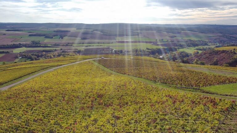 IMG_20211017_1628048